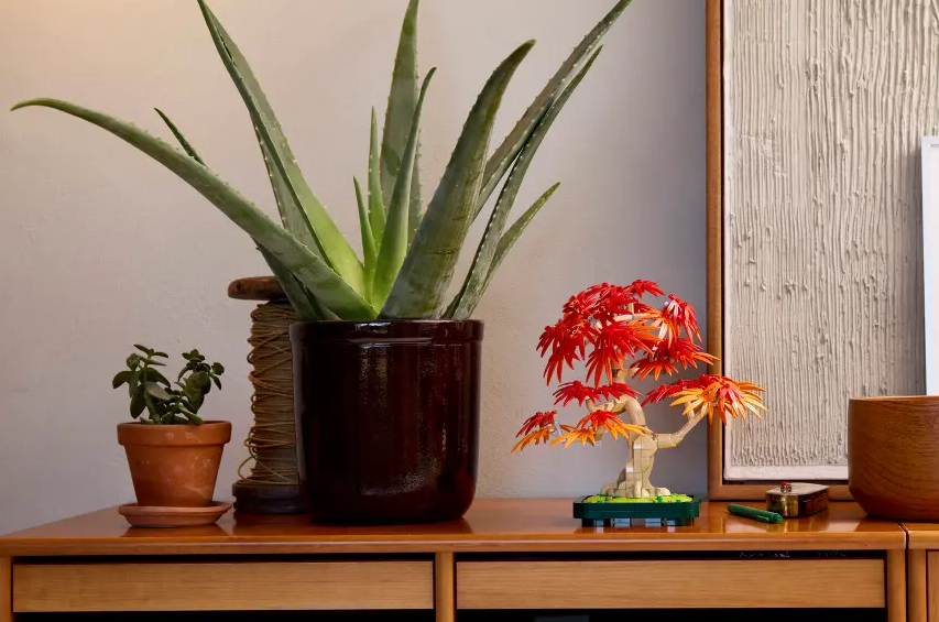 Bonsaï d'érable rouge japonais – LEGO® 10348 Collection Botanique – Univers RcLoisirs