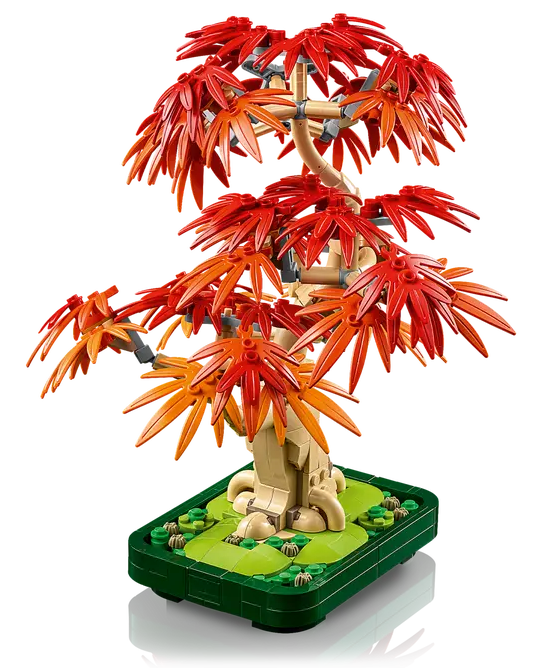 Bonsaï d'érable rouge japonais – LEGO® 10348 Collection Botanique – Univers RcLoisirs
