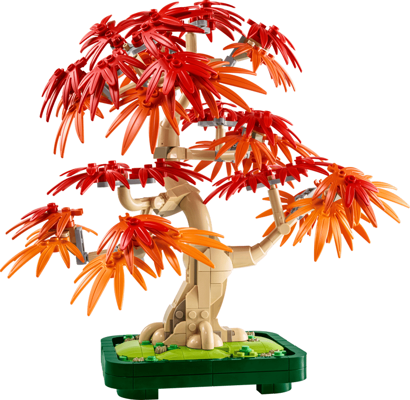 Bonsaï Érable rouge japonais LEGO® 10348 – Botanique - Univers RcLoisirs