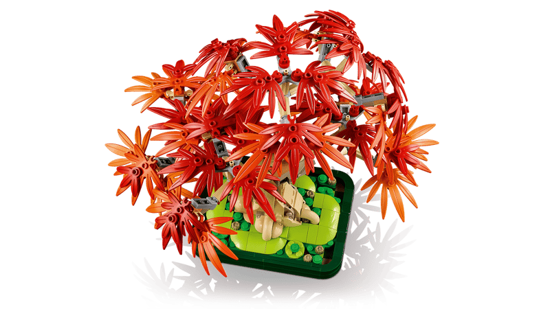 Bonsaï Érable rouge japonais LEGO® 10348 – Botanique - Univers RcLoisirs