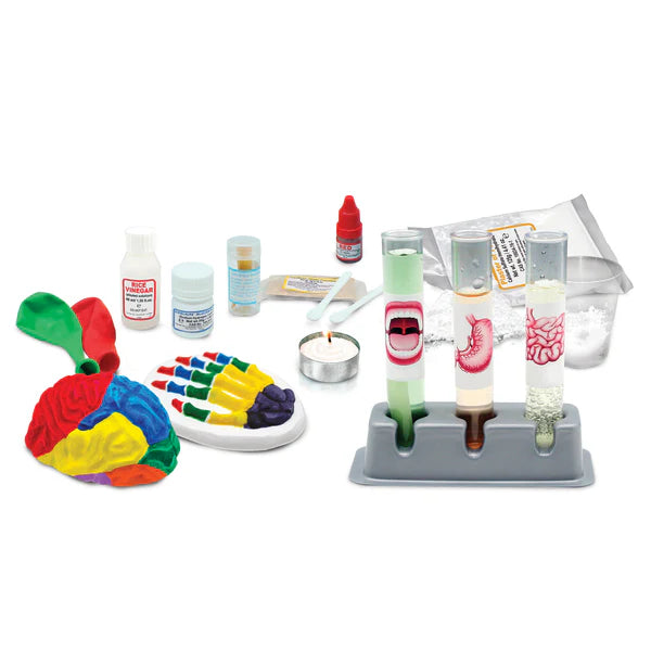 Mission corps humain – Jeu scientifique WES