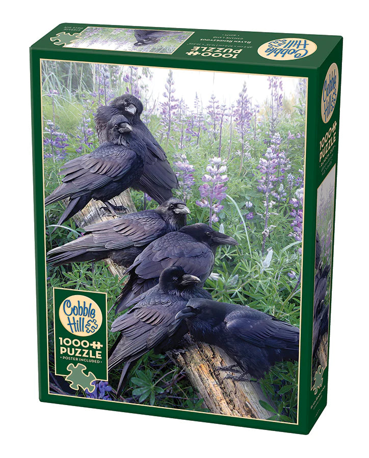 Casse-tête Cobble Hill 1000 pièces – Rendez-vous du corbeau – Illustration de Shane Lamb, scène automnale avec corbeaux et fleurs violettes