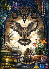 Puzzle 1000 pièces L’invocation – Univers RcLoisirs, œuvre artistique de Sarah Richter éditée par Cobble Hill. Scène nocturne au décor gothique et mystérieux : chat noir, bougie, livres anciens, potion magique, pierres tombales, pleine lune. Idéal comme cadeau pour amateur de frissons et univers fantastique, parfait pour l’ambiance Halloween.