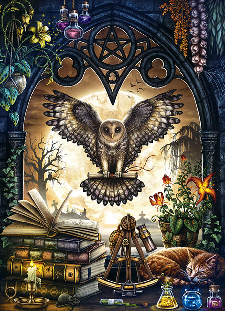 Puzzle 1000 pièces L’invocation – Univers RcLoisirs, œuvre artistique de Sarah Richter éditée par Cobble Hill. Scène nocturne au décor gothique et mystérieux : chat noir, bougie, livres anciens, potion magique, pierres tombales, pleine lune. Idéal comme cadeau pour amateur de frissons et univers fantastique, parfait pour l’ambiance Halloween.