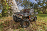 ASC40119 – Enduro Trailwalker Black – 1/10 – RTR 4WD Rock Crawler - Univers RcLoisirs