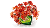 Bonsaï Érable rouge japonais LEGO® 10348 – Botanique - Univers RcLoisirs