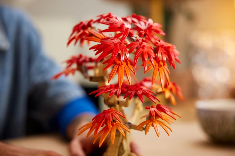 Bonsaï Érable rouge japonais LEGO® 10348 – Botanique - Univers RcLoisirs