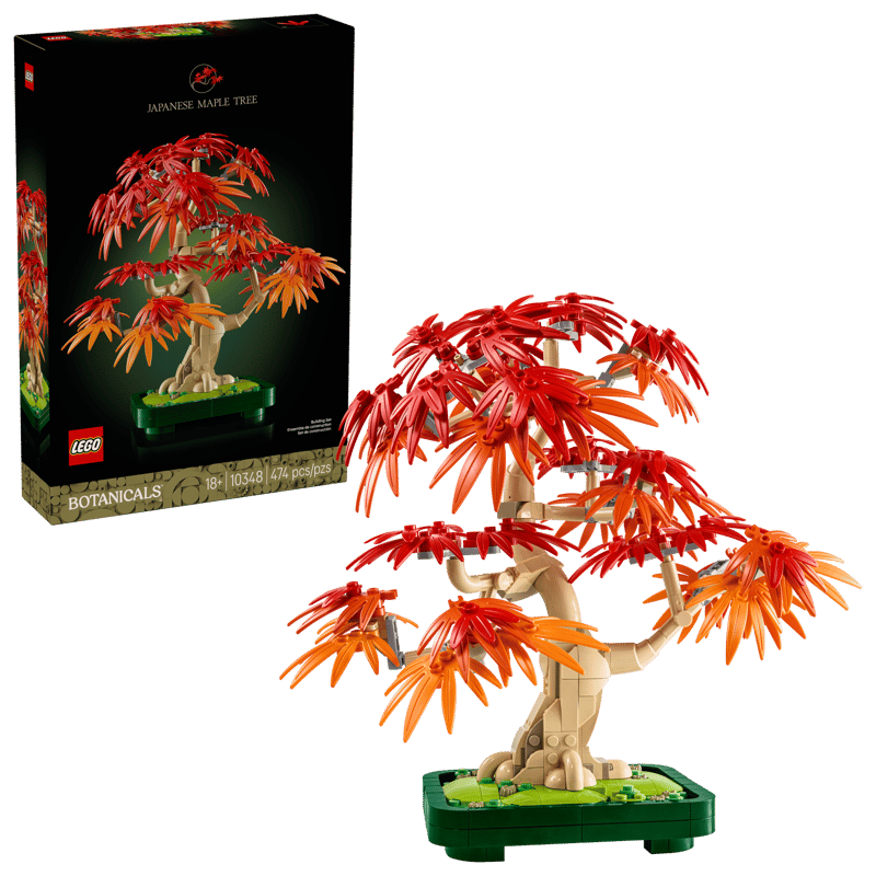 Bonsaï Érable rouge japonais LEGO® 10348 – Botanique - Univers RcLoisirs