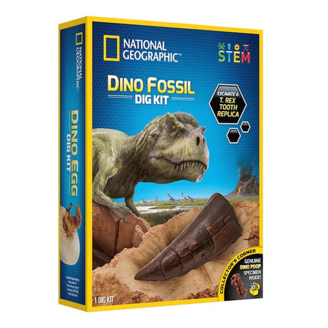 Déterrez une dent de T. Rex – National Geographic – Univers RcLoisirs