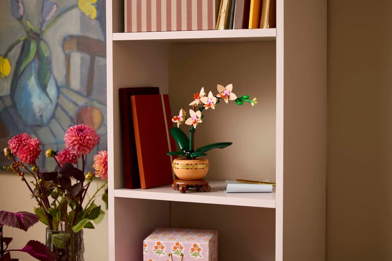 LEGO® 10343 – Mini Orchidée – LEGO® Botanicals – Univers RcLoisirs