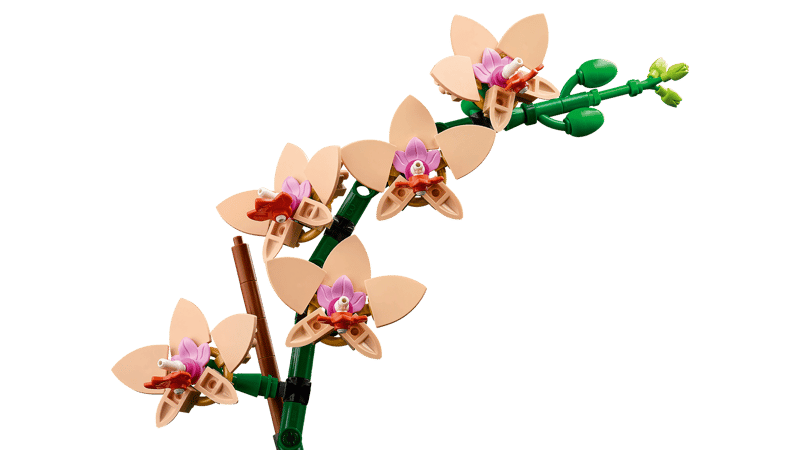 LEGO® 10343 – Mini Orchidée – LEGO® Botanicals – Univers RcLoisirs