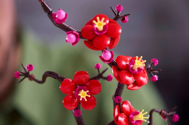 LEGO® 10369 – Fleur de prunier – LEGO® Botanicals – Univers RcLoisirs