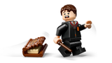 LEGO® Harry Potter – Le Livre Monstre qui Croque – LEGO Harry Potter 76449 – Univers RcLoisirs