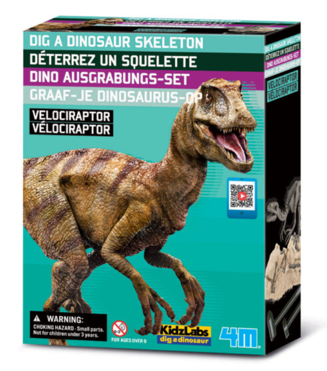 Déterrez un squelette - Vélociraptor