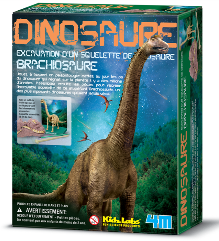 Déterrez un squelette - Brachiosaure