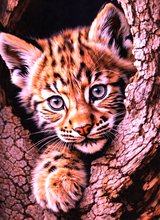 PRÉ-COMMANDE / Peinture diamant 5D - Haute Gamme - Bébé Léopard - Univers RcLoisirs