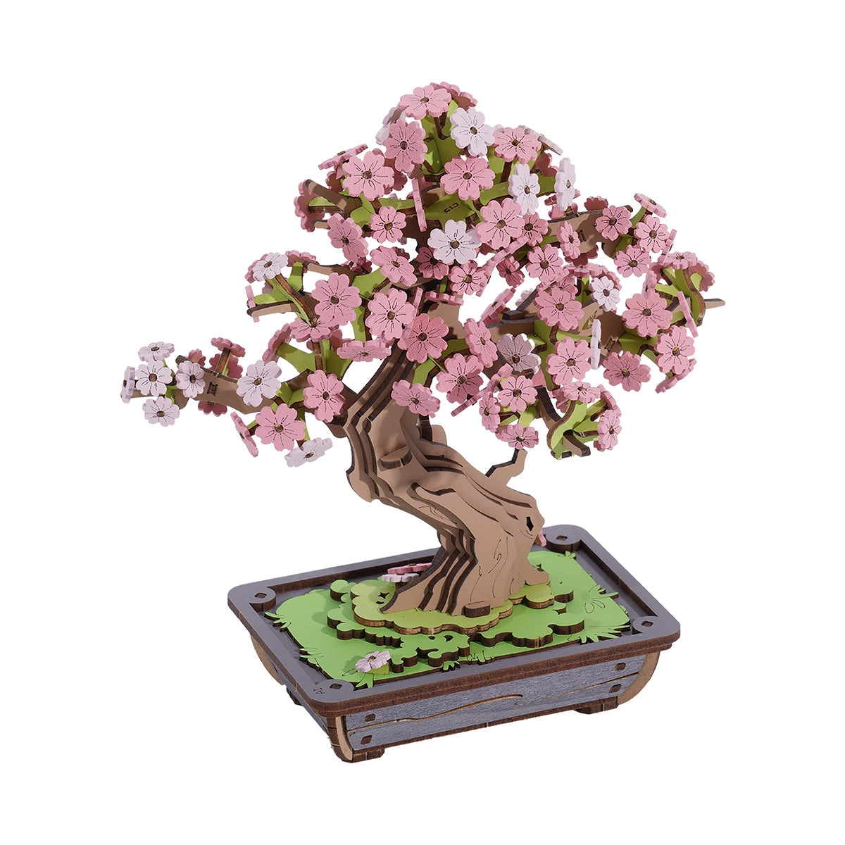 Bonsaï Sakura – Rolife TG415 – Mini-maison à assembler - Univers RcLoisirs