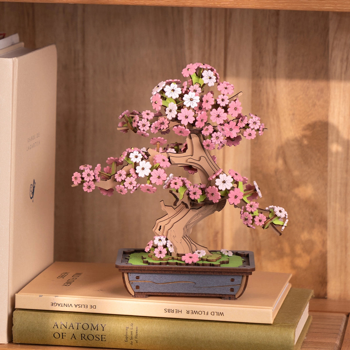 Bonsaï Sakura – Rolife TG415 – Mini-maison à assembler - Univers RcLoisirs