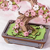 Bonsaï Sakura – Rolife TG415 – Mini-maison à assembler - Univers RcLoisirs